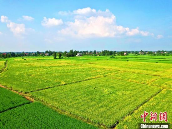 湖南文旅大餐春节“上”不停AG真人传统民俗+现代科技(图2)