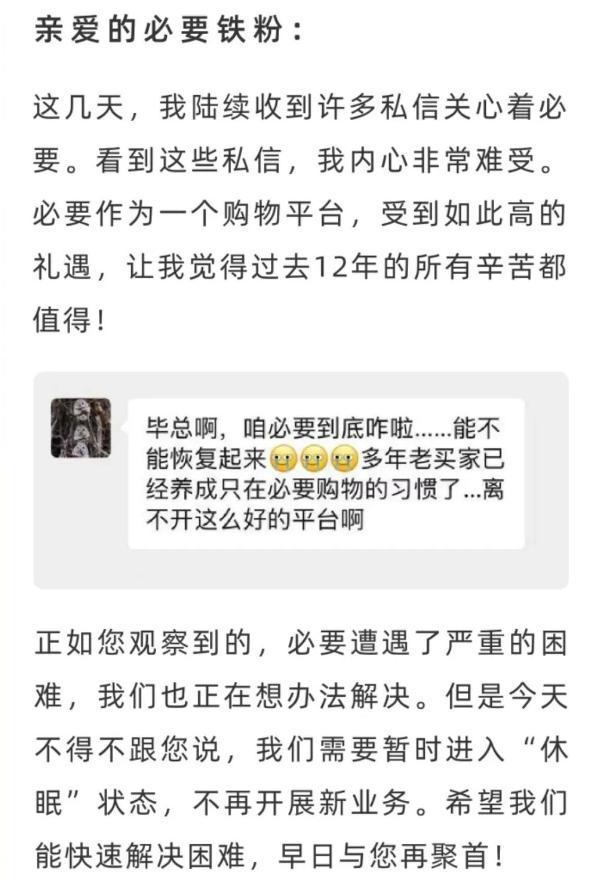中产最爱的电商平台停运曾叫板淘宝！AG真人烧光3000万美元！又一(图3)